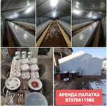 Аренда палатка 24/7