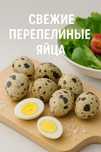 Перепелиные яйца инкубационные - высокая оплодотворяемость!
