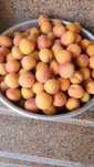 Продам домашнее абрикосы  сочные и вкусные по 500 тенге за кг.