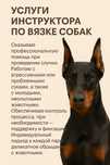 Помощь в вязке/случке собак инструктор по вязкам
