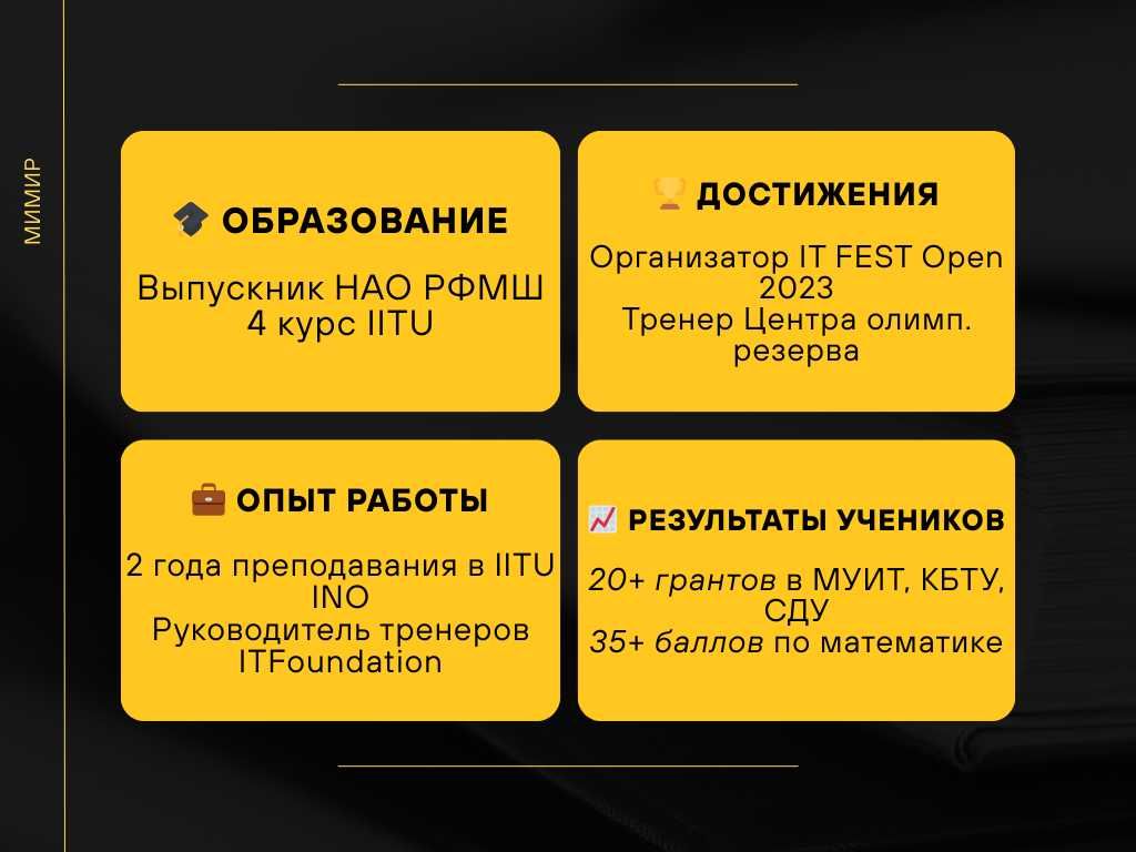 Подготовка к ЕНТ, Репетиторство Курс по программированию