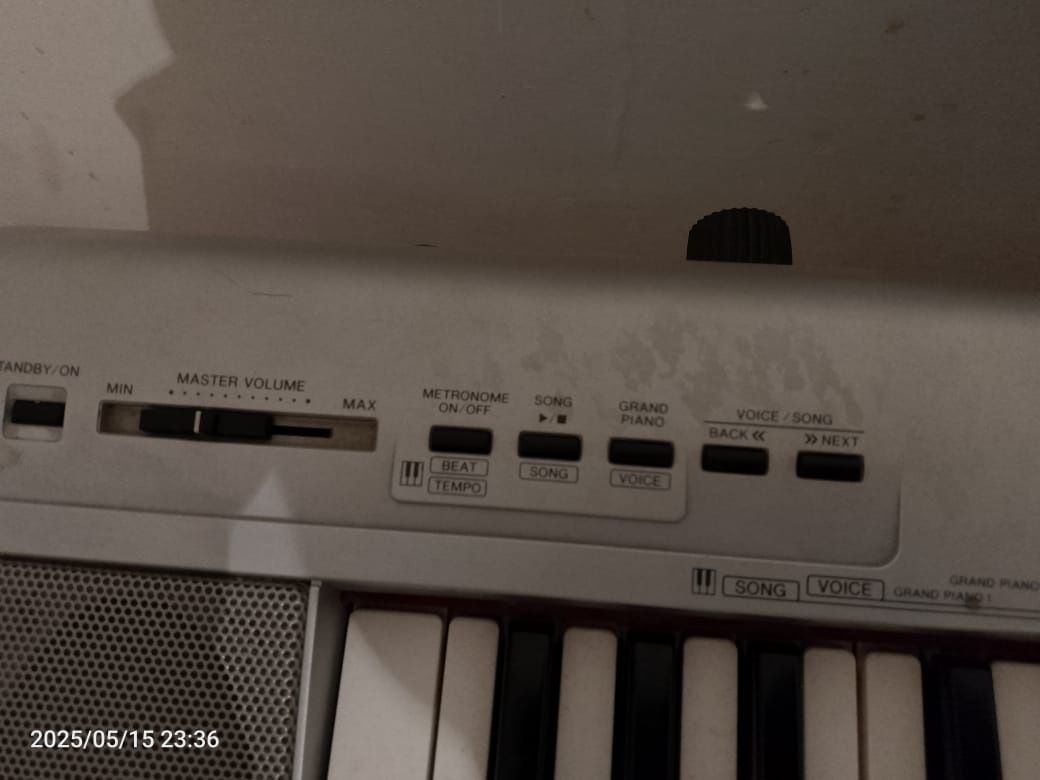 Yamaha Portable grand np 30