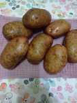 Картофель отборный, местный