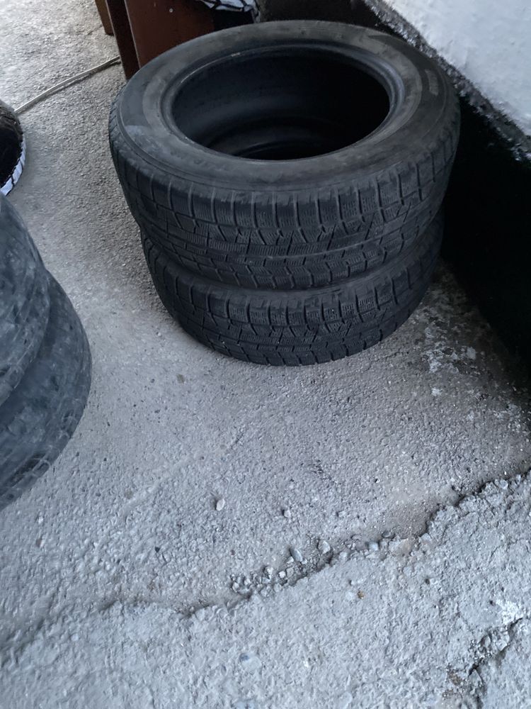 Покрыжки зимние на 16