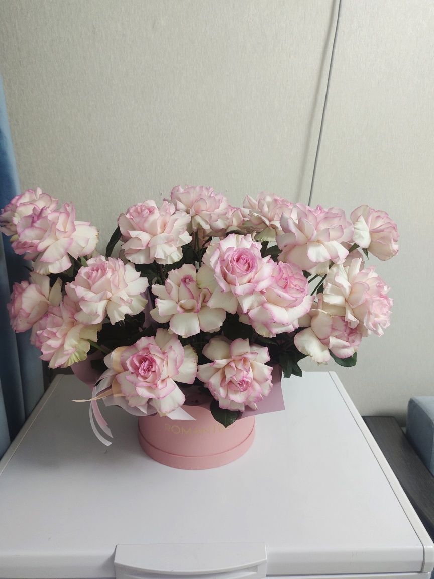 Продам цветы низкий ценам