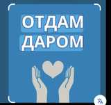 Отдам вещи бесплатно