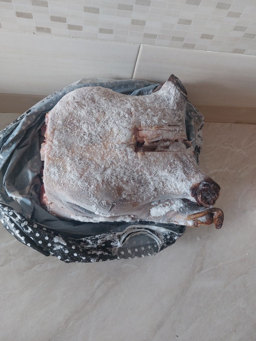 Продам голова говядины
