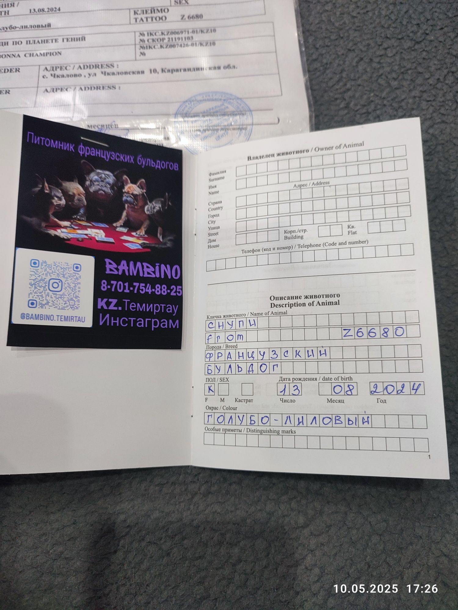 Продам срочно мальчика