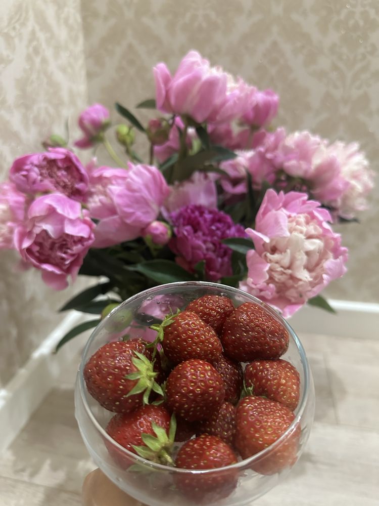 Продам рассаду клубники сорт Азия