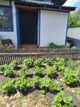 Продам благоустроенную квартиру в городе Щучинск.