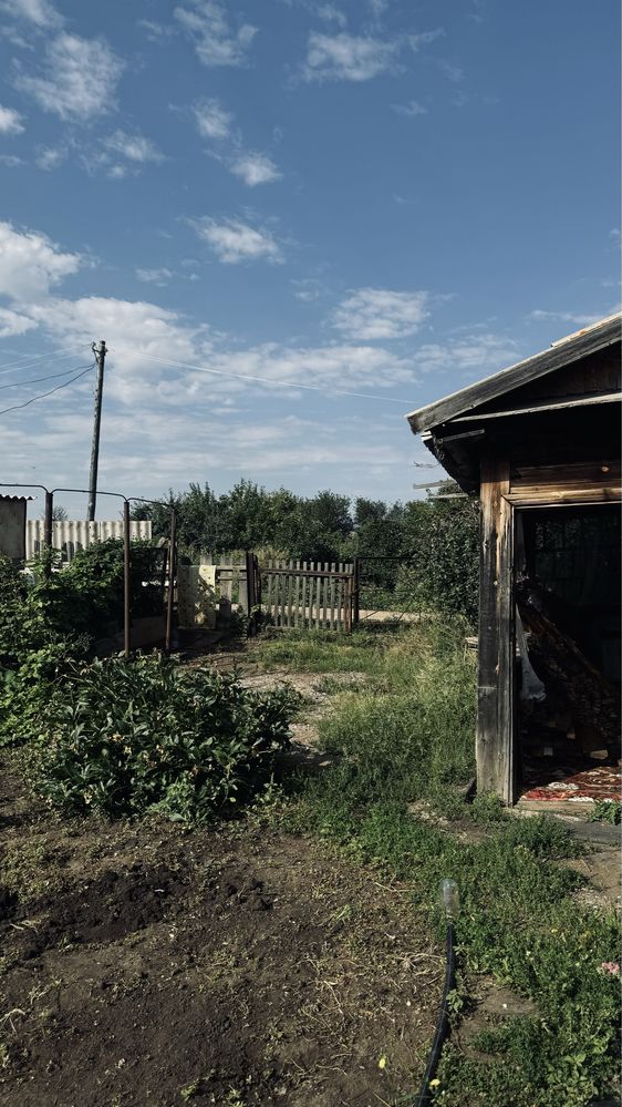Продам дачу после сбора урожая в г. Лисаковск!