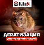 Уничтожение мышей, крыс , таракан , блох , клопов , дезинфекция Алматы