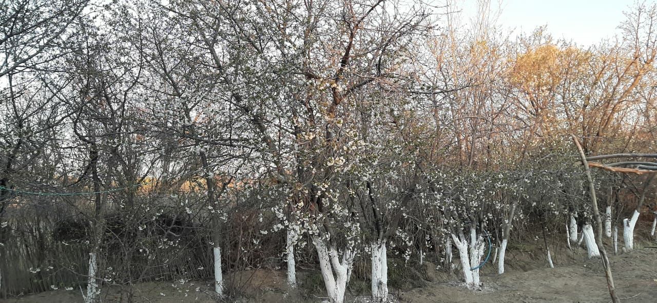 Дача ПМК 29   5 бөлмелі үй