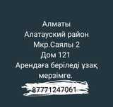 Сдам квартиру в Сайялы