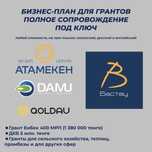Бизнес-план | бизнес презентация | ТЭО | грант | Даму | Astana Hub |
