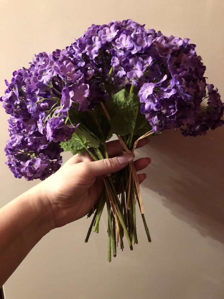 Цветы для дома