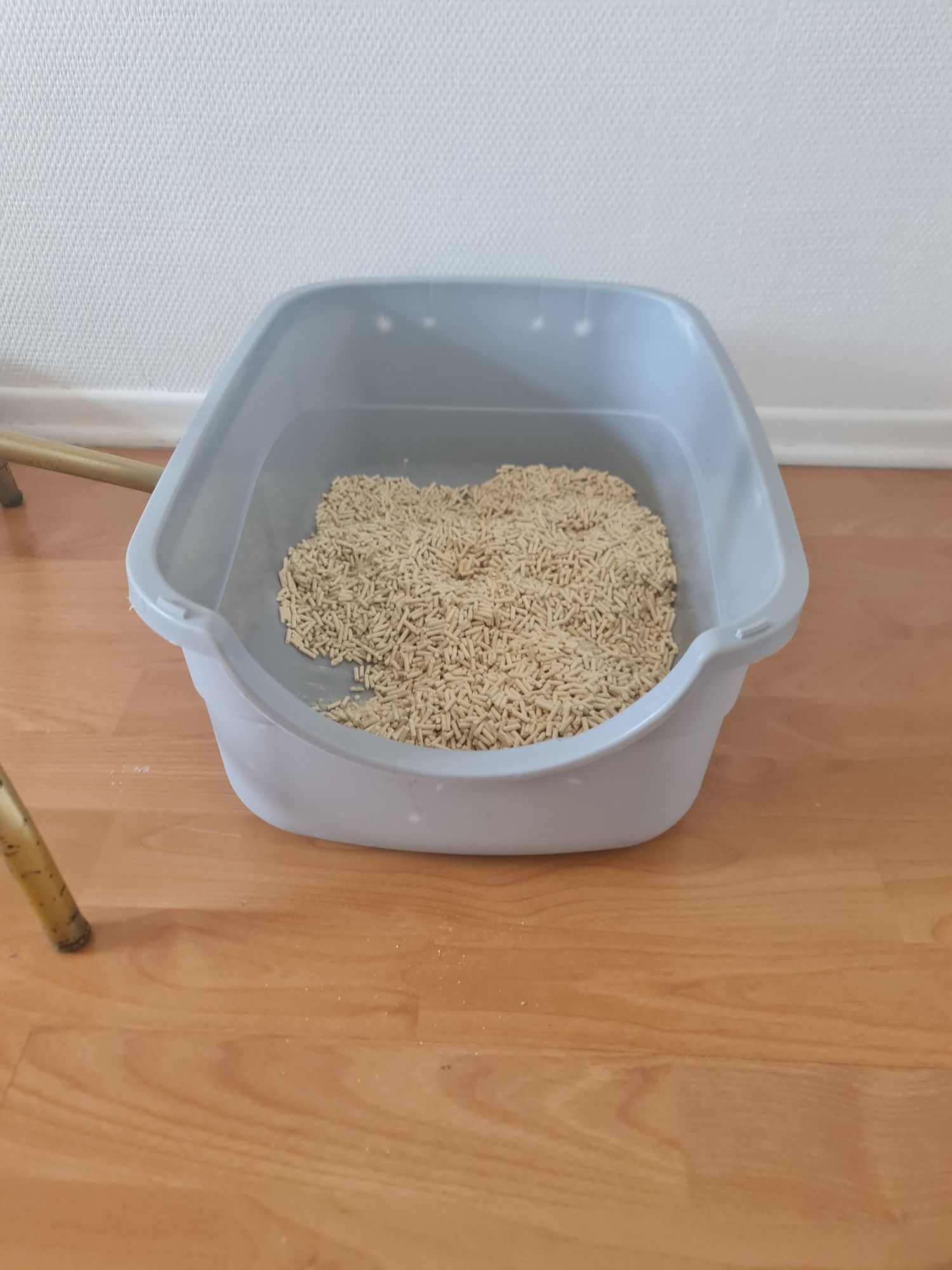 Кошка с приданым
