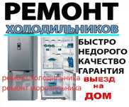 Ремонт холодильника,морозильника,лари,витрины,горки,встроенные,бытовые