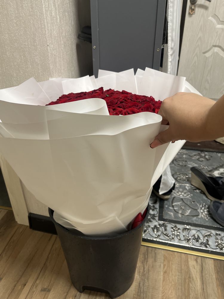 101 роза, красная