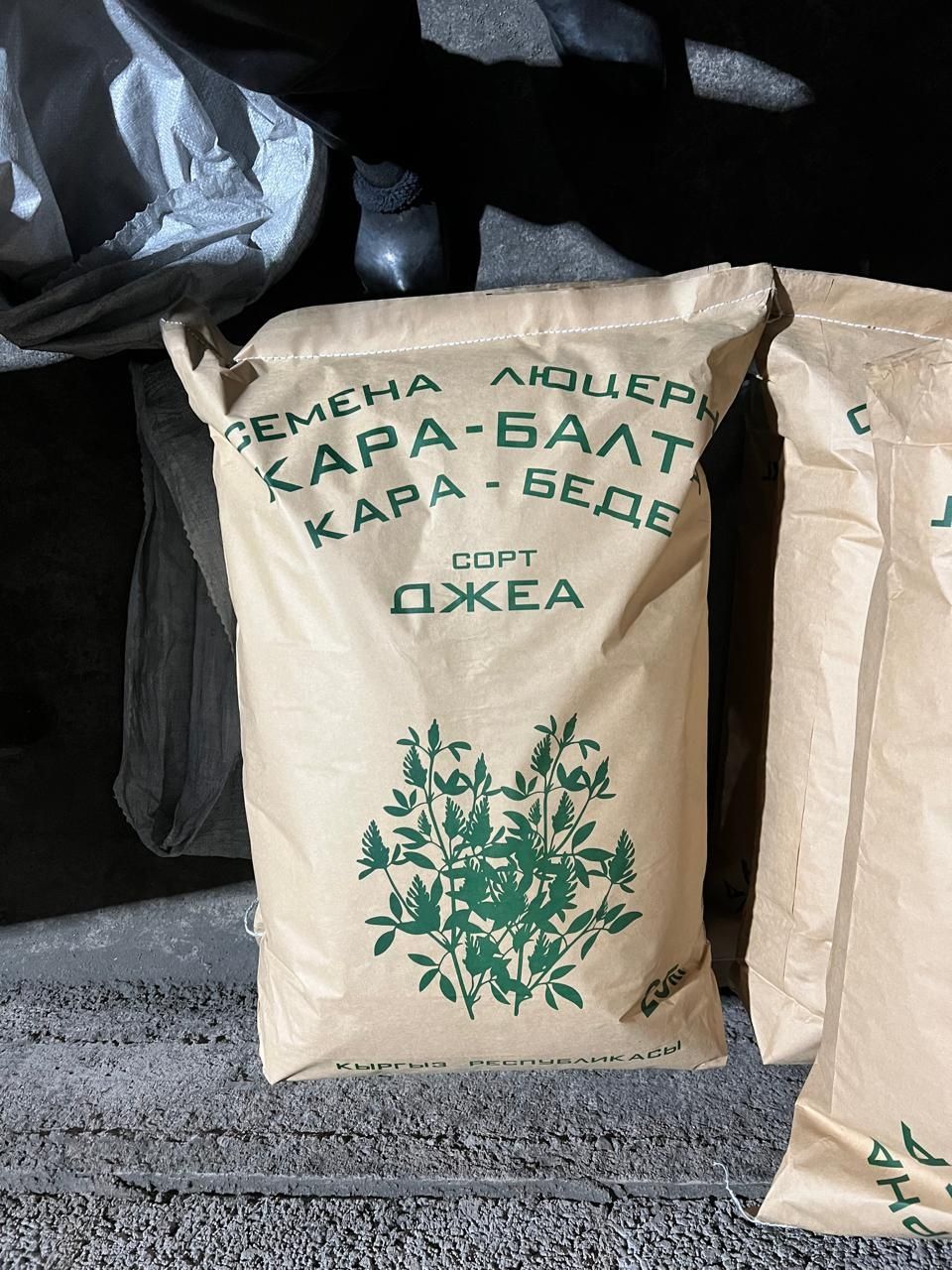 Семена люцерны в Мерке