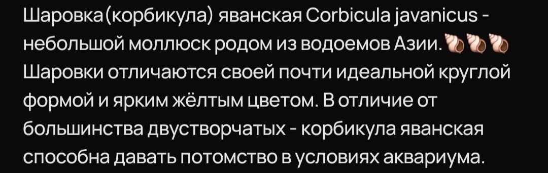 Продам малюска шаровка
