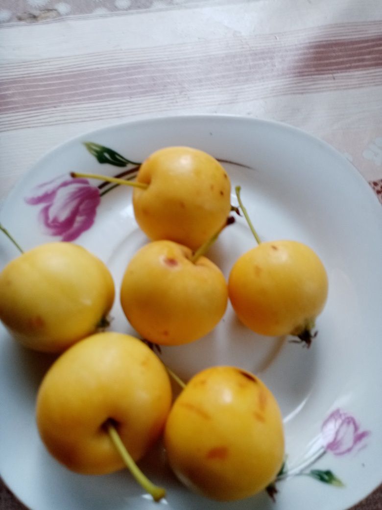 Продам рецептуры, раскладки на салаты, оливье, хе морковное, и т. д.