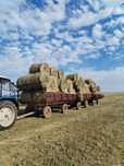 Продам сено рулоны