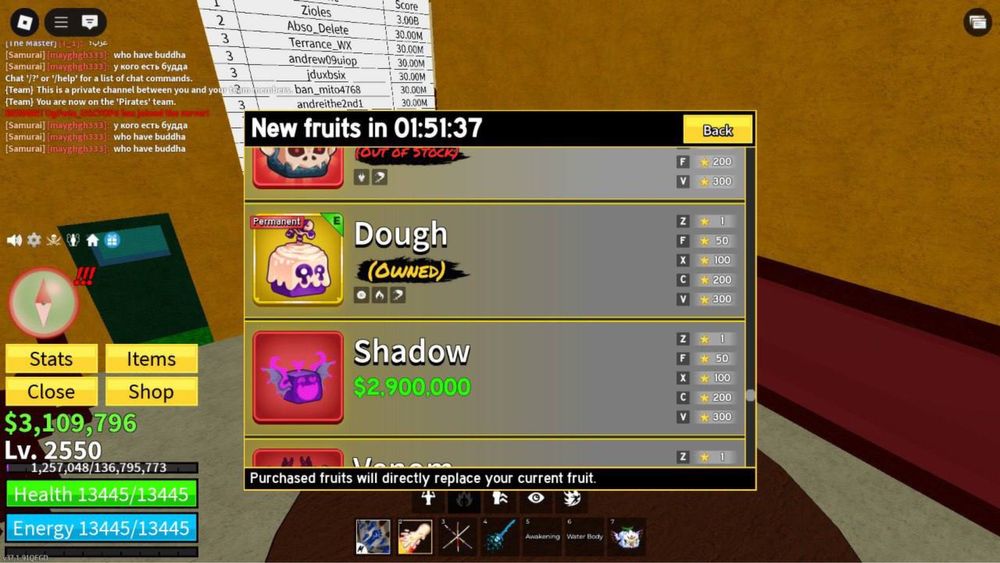 топовый аккаунт Blox Fruit
