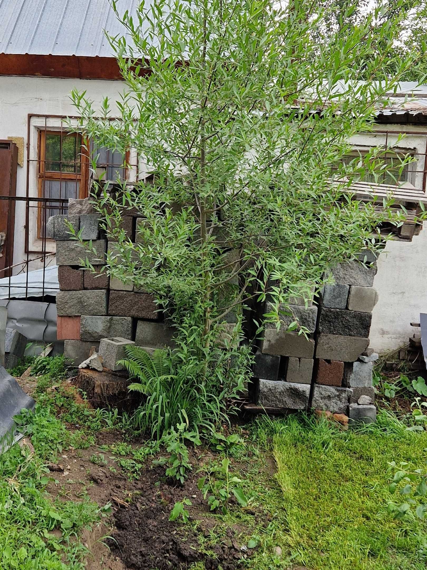рванный кирпич сплитерный блок