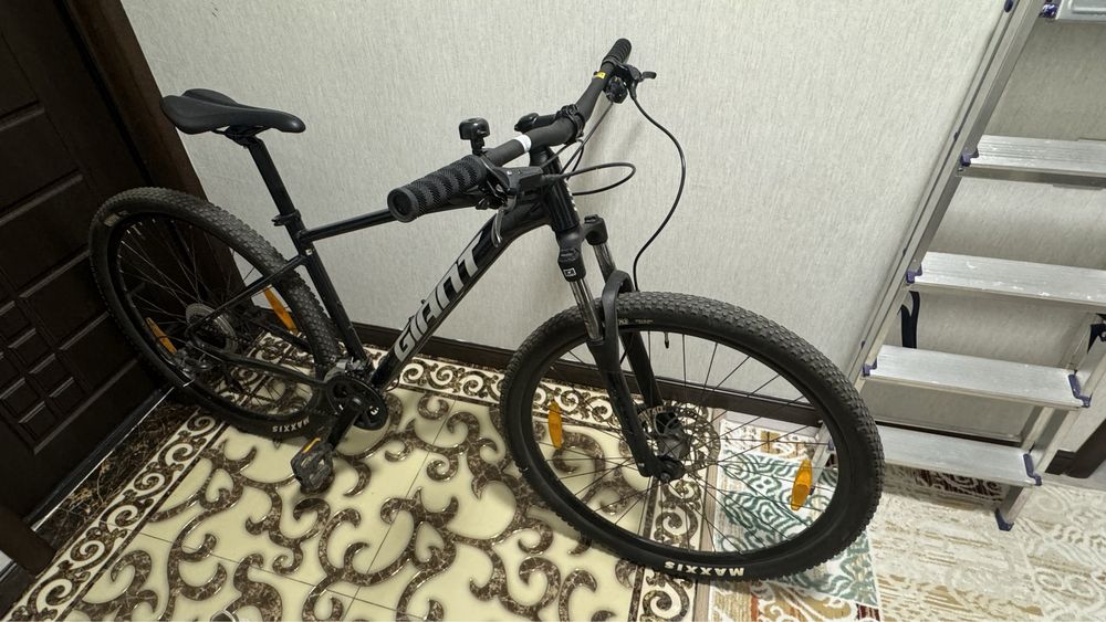 Giant talon 3 2021