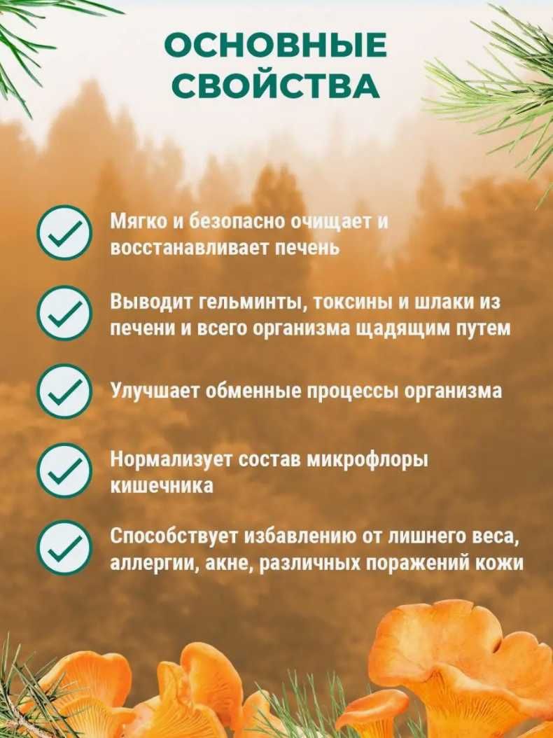Грибы лисички | Премиум качества | Против паразитов | На развес