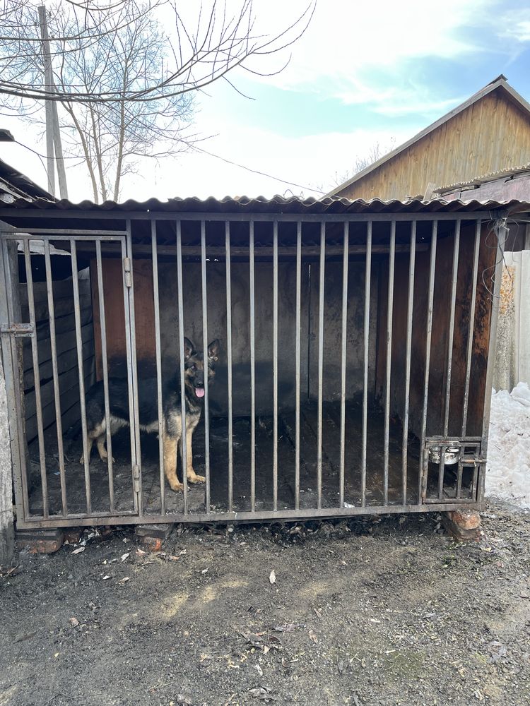 Продам вольер для собак