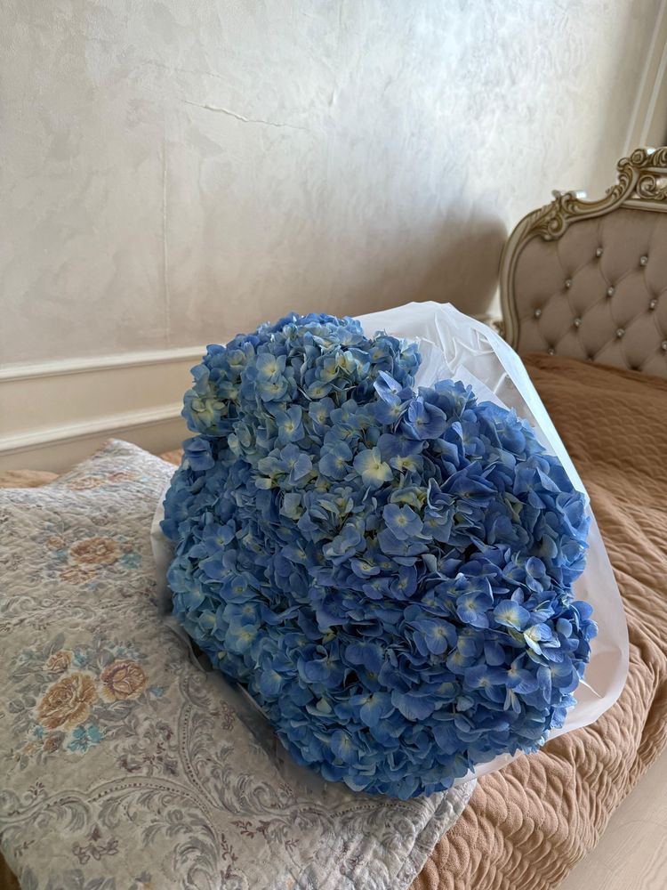 Цветы, гортензия, 9 штук