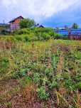 Продам земельный участок на Боровских дачах