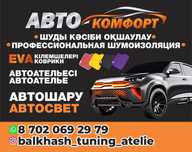 Профессиональная Шумоизоляция авто
