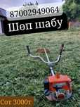 Покос травы   шөп шабу, Шөп жинау