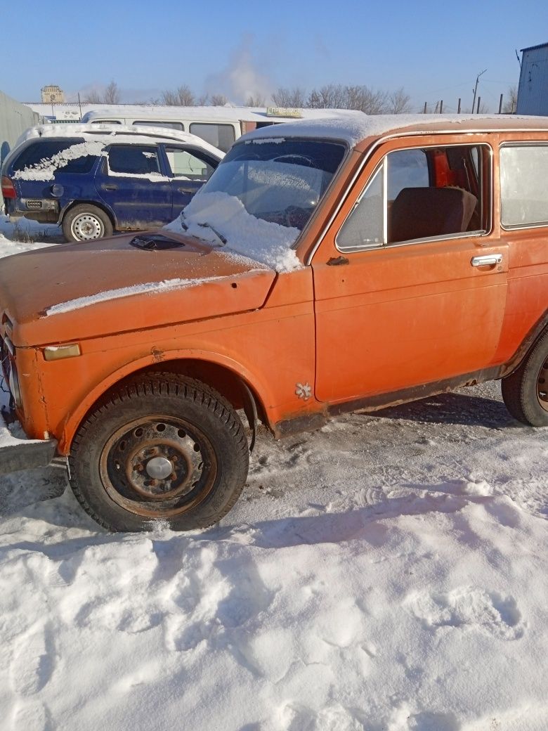 Нива в нормальном
