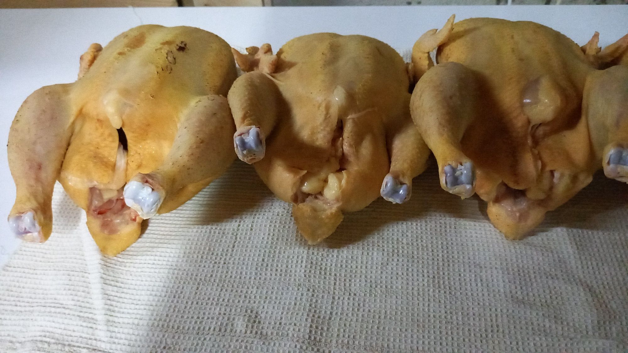 Тушка домашней курицы 2200т/кг