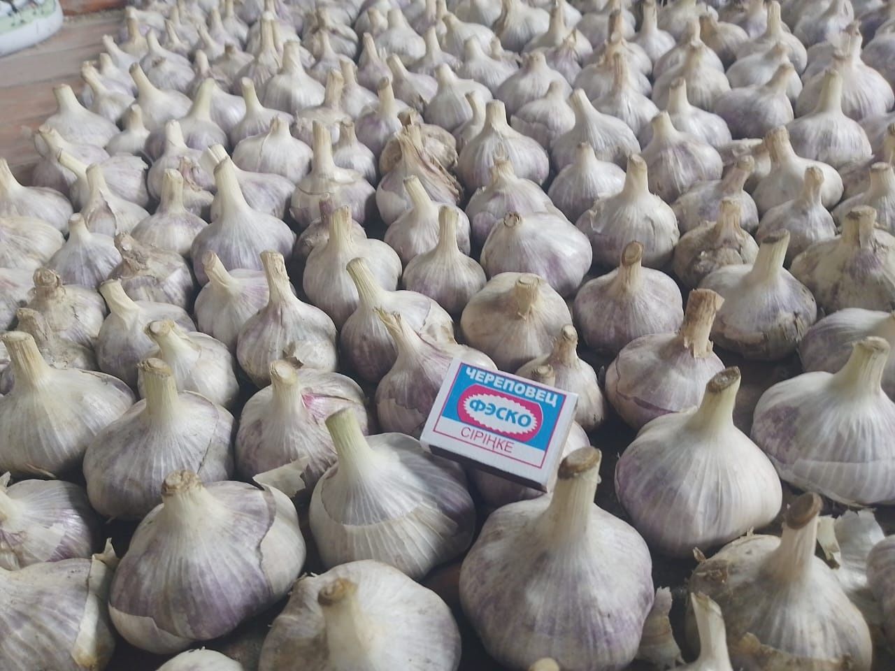 Продам чеснок домашний