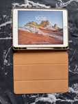 iPad Pro (9,7 дюймов)