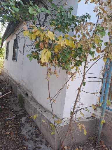 Продам загородный дом с участком
