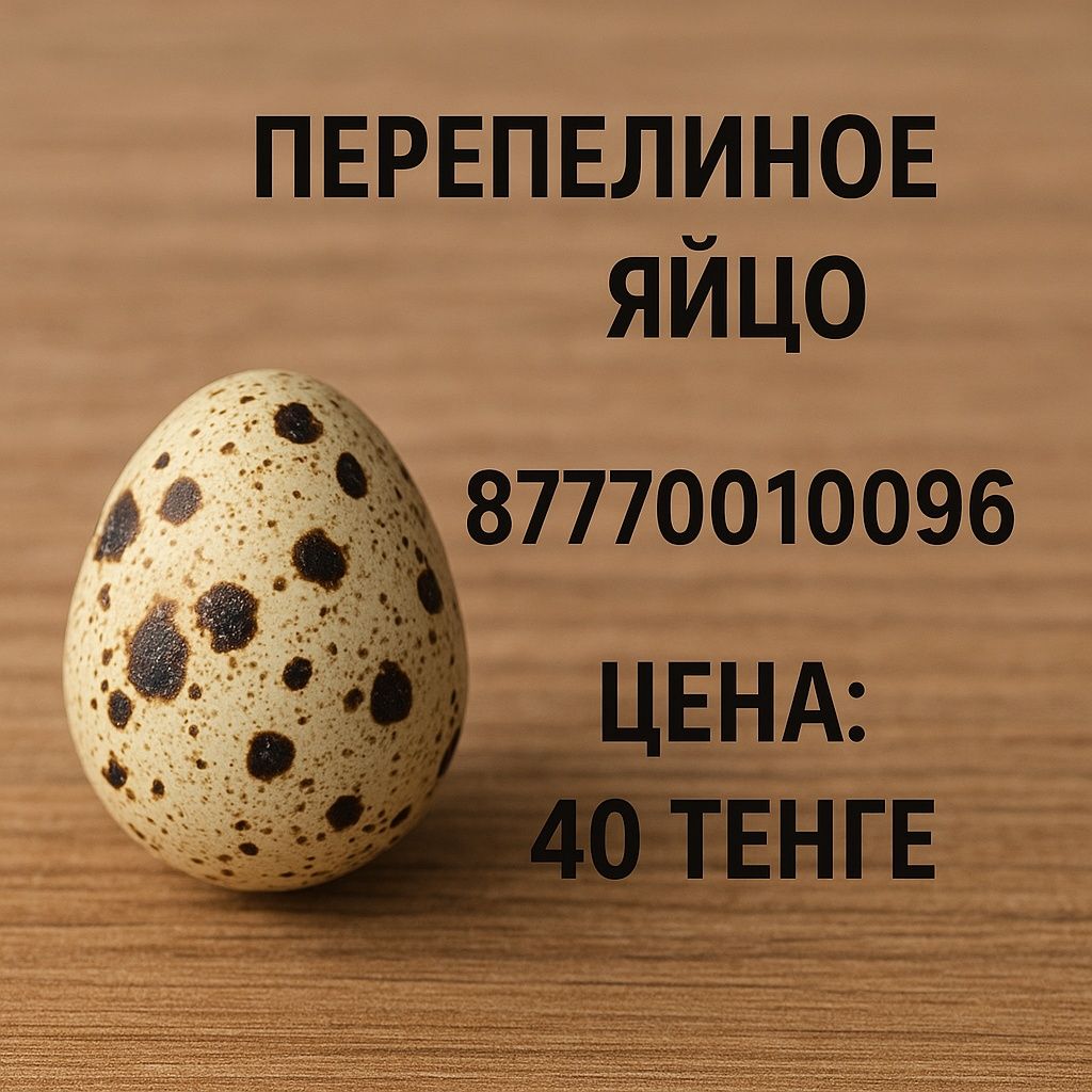 Яйцо перепелиный