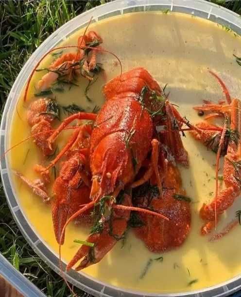 Раки живые и варёные на любой вкус