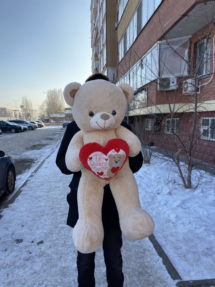 Большие плюшевые мишки Нестор Тедди Панда Астана