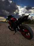 Racer skyway 250
