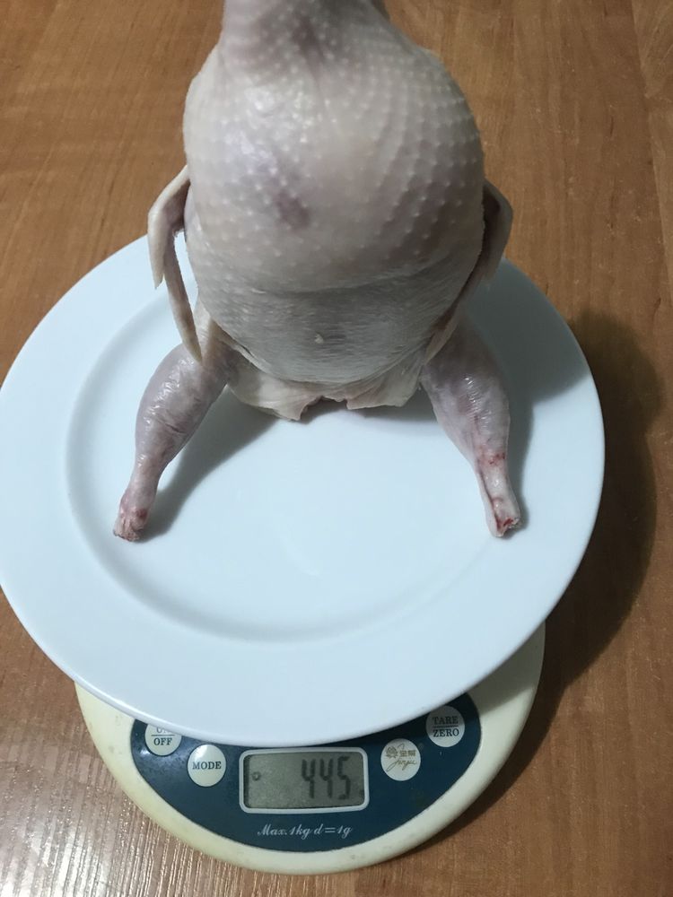 Инкубационные  перепелиные яйца