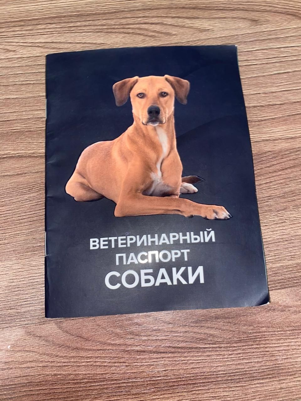 Немецкий овчарка