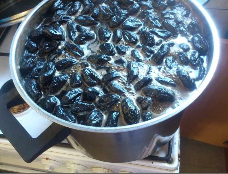 Продам 3х летние саженцы Маньчжурского ореха