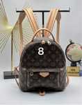 Женский Рюкзак Louis Vuitton