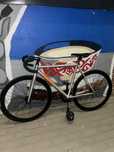 Fixed gear Ardently